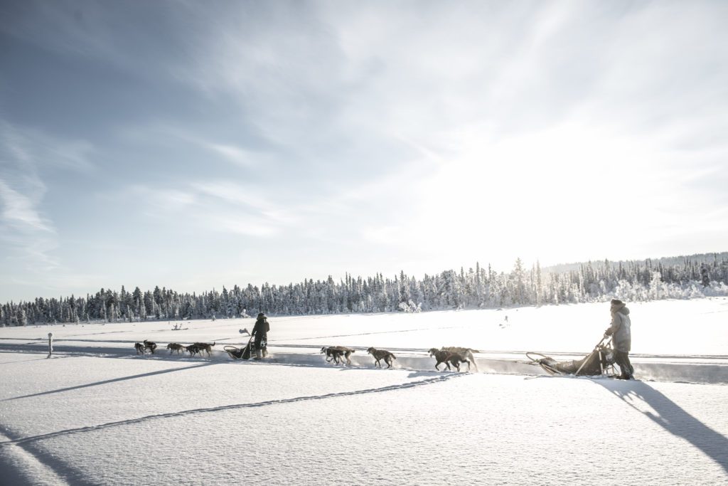 A dogsled tour glides across the snow