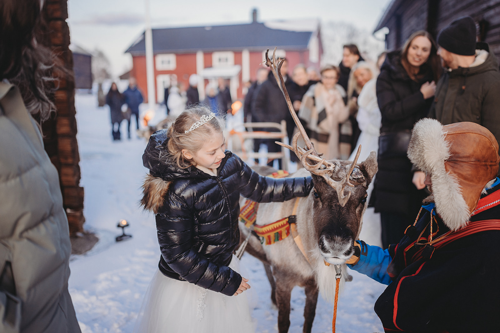 Wedding guest pets reindeer after bride and groom arrive